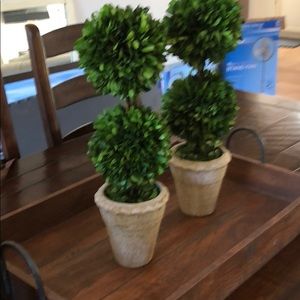 Meet your Posher, Isabela